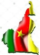 Drapeau : Cameroun